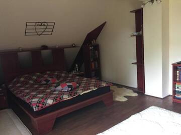Фото номера Бюджетный двухместный номер с 1 кроватью Гостевой дом Guesthouse Vila Melisa г. Răsvadu de Sus 2