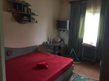 Фото номера Бюджетный одноместный номер Гостевой дом Guesthouse Vila Melisa г. Răsvadu de Sus 5